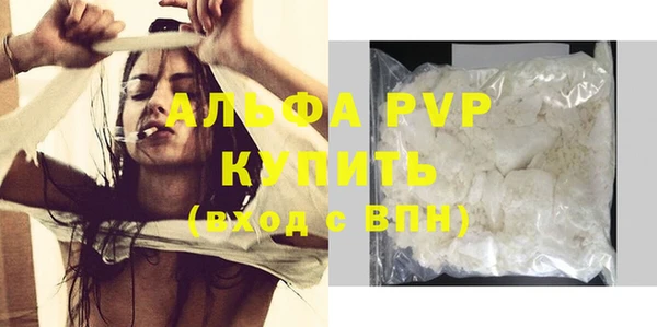 индика Арсеньев
