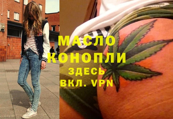 индика Арсеньев