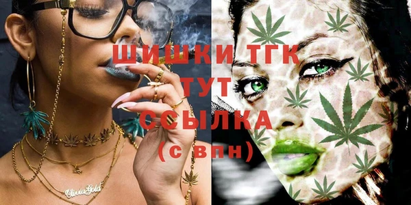 индика Арсеньев