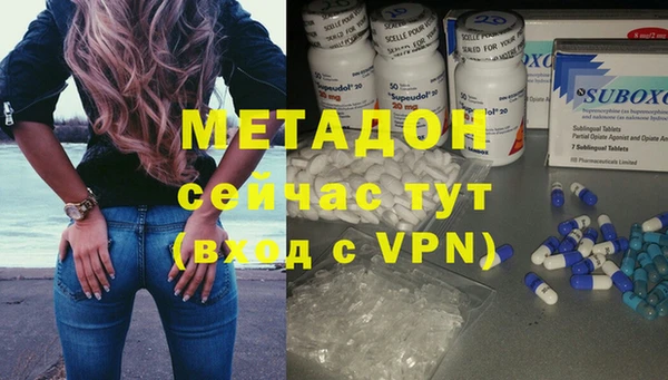 индика Арсеньев
