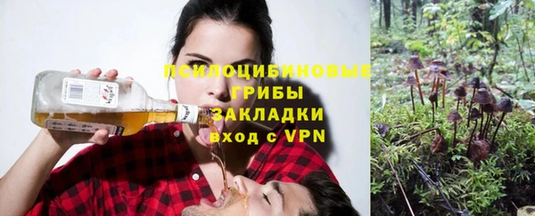 jwh Аркадак