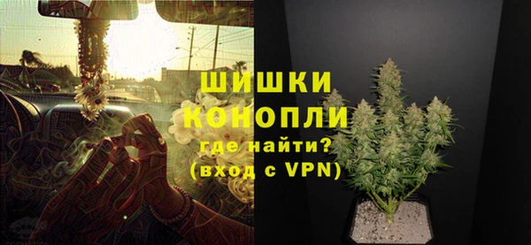 индика Арсеньев