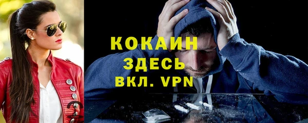 индика Арсеньев